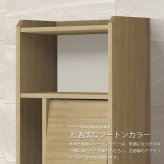 収納家具 ラック ディスプレイ ALE-1260 ミドルタイプ 日本製 フラップ扉 収納棚 扉付き 3段 本棚 幅60 高さ120 飾り棚 北欧 おしゃれ リビング収納 マガジン デザイン 木製 A4