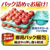 青森県産　りんご　ご家庭用　トキ　１０ｋｇ　　送料無料！