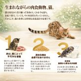 Schesir シシア パウチ ツナwithエビ キャットフード 85g×12個