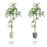 お手入れ簡単 フェイクグリーン エバーフレッシュ Lサイズ(180cm) 新生活