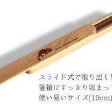 【お名入れ可能】Fave カメレオン 木の箸・箸箱 21cm 19cm 天然木 ヘムロック 箸 箸箱 お弁当 オリジナル 爬虫類 動物 アニマル クリスマス