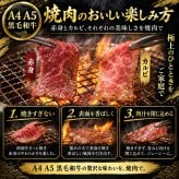 黒毛和牛 A4 A5 焼肉4種食べ比べ 400g 焼肉セット 肉ギフト