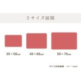 バスマット 速乾 吸水性抜群 タオル地風 さらっと 約35×50cm