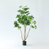 観葉植物 造花 ヤツデ BROWN 全高約190cm 大型 フェイクグリーン 高級 本物そっくり リアル おしゃれ 和風 和モダン インテリア 人工観葉植物 アーティフィシャルグリーン オフィス 店舗 ホテル 旅館 開店祝い 室内 リビング 玄関 庭木 八つ手