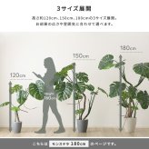 お手入れ簡単 フェイクグリーン モンステラ Lサイズ(180cm)