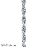 ライオンハート スレンダリー チェーンネックレス ツイスト サージカルステンレス 47cm 55cm 65cm シルバー 金属アレルギー対応 だけ のみ メンズ ブランド