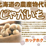 じゃがいも 訳あり北海道 じゃがいも 男爵いも S-Mサイズ 9.5-10kg前後 送料無料 ※沖縄は送料別途加算