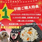 「 ハッピー クリスマス ロールケーキ 」 ワンちゃんもネコちゃんも飼い主さんも食べられる 美味しく贅沢なグルテンフリーケーキ ペットも飼い主様も大好きなケーキ♪ 家族みんなで美味しい贅沢をお楽しみください。はなとしっぽ初の人用ケーキコラボ商品！