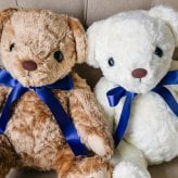 シュガー体重ベア2体セット｜新郎・新婦から両家ご両親へ贈るウェディングギフト 両親贈呈品