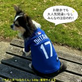 MLB公式 犬服 大谷翔平 ドジャース ユニフォーム ジャージ XS S 小型犬用 チワワ トイプードル ダックス ドッグウェア 野球 ロサンゼルス おしゃれ かわいい グッズ ギフト プレゼント 送料無料
