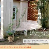 フェンス ブランティーク ホワイトアイアントレリスH147 4枚組 アンティーク モダン スタイリッシュ シンプル アイアンフェンス ファニチャーガーデン インテリア 家具 天然 おしゃれ カフェ 北欧 アーチ ベンチ スチール エクステリア 新生活