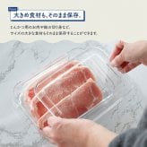 TAKEYA タケヤ FREEZE STOCK フリーズストック S《2個セット》[保存容器 フードコンテナ 冷凍 クリア 透明 日本製 タケヤ フードストッカー オシャレ 保存 容器 中身が見える 小分け 冷凍容器 プラスチック ケース 薄型 浅型 食品保存 小型]