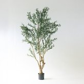 観葉植物 造花 オリーブ BROWN 全高約225cm 大型 実付き フェイクグリーン 高級 本物そっくり リアル おしゃれ インテリア 人工観葉植物 アーティフィシャルグリーン オフィス 店舗 ホテル カフェ 開店祝い 室内 リビング 玄関 風水 庭木 オリーブの木