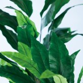 観葉植物 造花 アスプレニウム BROWN 全高約90cm 中型 フェイクグリーン 本物そっくり おしゃれ インテリア 人工観葉植物 アーティフィシャルグリーン オフィス 店舗 ホテル 開店祝い 室内 タニワタリ シダ フェイク