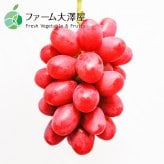 長野県産 シャインマスカット クイーンルージュ 各1房 【2房】 ｜ 1房約450-500g ｜ ぶどう 国産フルーツ 贈答用 ギフト プレゼント