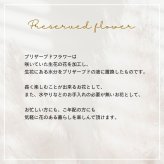 プリザーブドフラワーアレンジメント 【Paint Brush】　 鮮やかな色のプリザーブドフラワー。 7色よりお選びください。プリザーブドフラワー 誕生日 花 プレゼント お礼 お祝い 本物 グリーン 和 ギフト メッセージ 送料無料 お礼 プリザーブド プレゼント おしゃれ リビング インテリア 枯れない花 土日発送 母の日 敬老の日 お中元 お歳暮