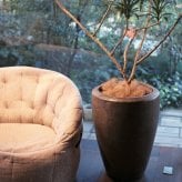 植木鉢 おしゃれ 大型 陶器 17号 ウーヌム ジャー トール 幅50cm 高さ70cm 鉢カバー 高級 釉薬陶器製 寒冷地対応 ゴールド 北欧 屋外向け 観葉植物用 サボテン 特大 ガーデニング ベランダ 玄関 インテリア プランター 深型
