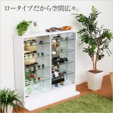 ラック コレクション 浅型ロータイプ CLR-900--WH ホワイト 幅90×奥19×高90cm ホームテイスト コレクションケース ディスプレイケース ガラスケース ショーケース フィギュア 新生活