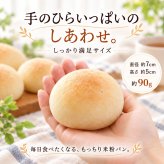グルテンフリー・ヴィーガン 米粉まるパン 10個入り 生酵母使用