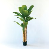 観葉植物 造花 バナナ BROWN 全高約180cm 大型 フェイクグリーン 高級 本物そっくり リアル おしゃれ インテリア 人工観葉植物 アーティフィシャルグリーン 南国 リゾート オフィス 店舗 ホテル 開店祝い 室内 リビング 玄関 風水 バナナの木