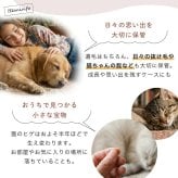  遺毛ケース 桐 写真入り ペット 毛 ひげ 髭 ヒゲ 犬 猫 鳥 ハムスター うさぎ 名入れ フルカラー メモリアルケース メッセージ 愛犬 愛猫