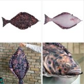 ダルトン フィッシーズ ハリバット 105 Y-0507 送料無料 クッション 魚 カレイ 海水魚 インテリア