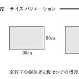 ラグ カーペット トルコ製 ウィルトン織り 玄関マット 『ベルミラ』 約60×90cm