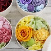 プレゼント ギフト 花 プリザーブドフラワー ハロウィン 七五三 いい夫婦の日 誕生日 プレゼント ギフト プティット手のひらサイズのプリザーブドフラワー プチギフト 引き出物  枯れないお花 まとめ買い 結婚式 ノベルティ お花 記念品 結婚祝 出産祝 両親　妻　彼女 就職祝 還暦 古希 喜寿 傘寿 米寿 卒寿 白寿