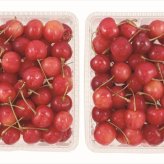 送料無料 北海道産地直送  さくらんぼ紅秀峰約600g 秀 ※ご注文後約7～10日前後での発送となります。沖縄・離島へは別途配送料が発生いたします お取り寄せグルメ スイーツ