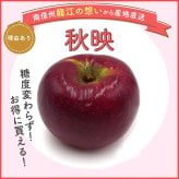 【予約】長野県産りんご 秋映 訳あり ご自宅用 果物 フルーツ お取り寄せ 産地直送 【送料無料(一部地域除く)】