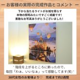 数字塗り絵 大人の塗り絵 ナンバーペイント数字入り 塗り絵 脳トレ 趣味 おうち時間 絵画キット アート 癒し プレゼント 誕生日 母の日 父の日 敬老の日 【無料ラッピング】【送料無料】