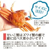 せいこ蟹 甲羅盛り 【数量限定】 越前がに 海鮮 詰め合わせ 福井県産 【冷凍便】美味しい贈物 お歳暮 ギフト