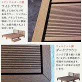 人工木ウッドデッキ ecofeel エコフィール カットサンプル2色セット PWDE-SAM 色見本 サンプル sample