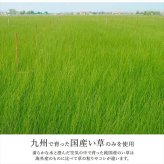 置き畳 ユニット畳 システム畳 国産 日本製 ナチュラルスタイル い草 消臭 抗菌防臭 市松 約82×82×2.3cm 単品