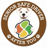 カーサイン 高齢者マーク SENIOR SAFE DRIVER ドゴアルヘンティーノ マグネット 強力 直径13cm 肉球 日本製 車 ステッカー
