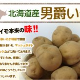 じゃがいも 訳あり北海道 じゃがいも 男爵いも S-Mサイズ 9.5-10kg前後 送料無料 ※沖縄は送料別途加算