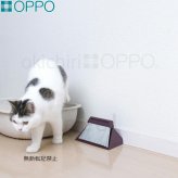OPPO okichiri（オキチリ）