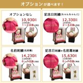 百寿祝い 花 女性 【ケース入り 綺麗に飾れる】 敬老の日 ソープフラワー 母 父 祖母 祖父 記念品 可愛い 華やか おしゃれ 男性 アレンジメント 造花 花以外 食品以外 癒し インテリア 置物 施設 飾り物 誕生日プレゼント 100歳 ピンク ぬいぐるみ ちゃんちゃんこ 形に残る贈り物 【熨斗付きギフトボックス入り】百寿祝いベア ソフトケース＆フレグランスソープフラワー 6004019