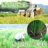 新米 ミルキークイーン お米 米 10kg 送料無料 無洗米 玄米 特別栽培 減農薬 化学肥料最小限 栃木産 2026年産 令和8年産 こめ コメ 産直 限定品 おとりよせ 取寄せ ギフト プレゼント 贈答用 ミルキークィーン 10キロ ご飯 ライス ランキング あす楽 送料込み お祝い 内祝
