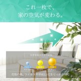 網戸用 花粉フィルター 200×100cm 4袋セット 日本製 マスクメーカー エアクリーン 網戸フィルター 窓用 花粉対策 PM2.5 黄砂 防塵 帯電フィルター 両面テープ付き 貼るだけ 窓 網戸 花粉シーズン 空気対策 蚊よけ 家庭用 生活用品 実用的 プレゼント