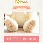 【命名刺繍対応】ココベビー体重ベア1体｜出産祝い・1歳の誕生日ギフトに｜日本製ウェイトベア