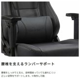 オフィスチェア AKRacing エーケーレーシング Premium Low Edition ゲーミング アームレスト ランバーサポート オフィス Premiumシリーズ椅子 イス いす AKレーシング ゲーム ゲーミングpc 昇降 張地は耐久性が高く 新生活