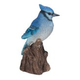 置物 鳥 アオカケス 高さ16cm woobia ウービア 野鳥 リアル おしゃれ 玄関 インテリア オブジェ ガーデン 北欧 ナチュラル 青い鳥 動物 アニマル 癒し 小鳥 鳥好き 出窓 棚 プレゼント ギフト バードウォッチング
