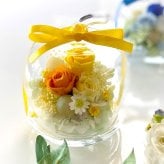  誕生日 プリザーブドフラワー ガラスドーム りんご 可愛い 女性 男性 結婚祝い 出産祝い 母の日 敬老の日 お供え お見舞い インテリア 送別  開店開業祝い ホワイトデー 記念日