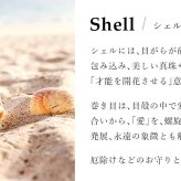 ハワイアンジュエリー コアウッド ピアス シェル コアウッド シルバー925 ロジウムコーティング キャッチ aumakua 20G ゲージ メンズ レディース 誕生日 プレゼント ハロウィン 【品番：045-62-01】