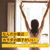 大豆パウダー 130g×1袋 国産 無添加 [cocofukuシリーズ] エクオール 食べる 大豆 イソフラボン ソイパウダー タンパク質 プロテイン 必須アミノ酸 糖質制限 低糖質 糖質オフ ダイエット 腸活 健康 美容 焙煎 大豆 粉末 遺伝子組み換えでない 健康食品(omb10117)