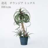 観葉植物 造花 チランジア ミックス BROWN 全高約81cm 中型 フェイクグリーン 本物そっくり おしゃれ インテリア 人工観葉植物 アーティフィシャルグリーン オフィス 店舗 ホテル 開店祝い 室内 エアプランツ フェイク