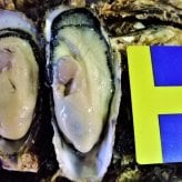 【11月1日から発送開始予定】殻付き生牡蠣 岡山県 日生産 牡蠣 | 3kgパック牡蠣むきナイフ 軍手付き 加熱用 お歳暮 牡蠣 殻付き カキ かき 牡蛎 殻付き牡蠣