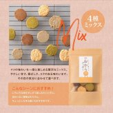 訳あり 小麦粉不使用 おからクッキー 【種類と内容量が選べる100g~600g】※割れ欠けあり おからパウダー 大豆 低糖質 糖質制限 小腹サポート 高たんぱく 雑穀スイーツ