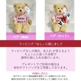 名入れメモリアル記念日ベア（単品） お急ぎオーダー対応可能 テディベア 名入れTシャツ かわいい ふわふわ クマ ぬいぐるみ 出産祝い 誕生日 女の子 男の子 GUND メモリアル 周年 記念品 卒団 卒業 恩師 卒部式 生年月日 背番号 ソウルナンバー 結婚記念日